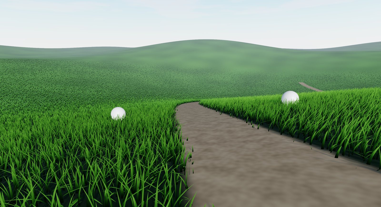 Grass following rolling terrain beside a dirt path