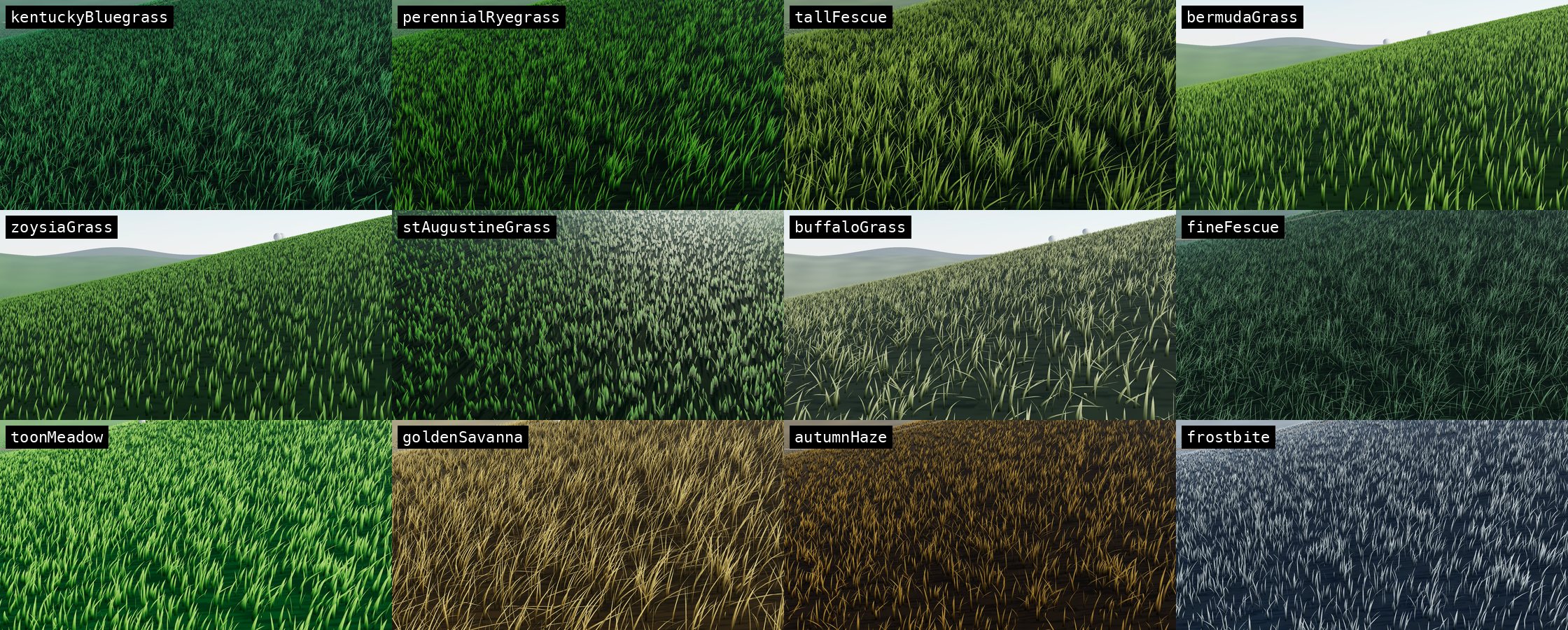 All twelve presets side by side