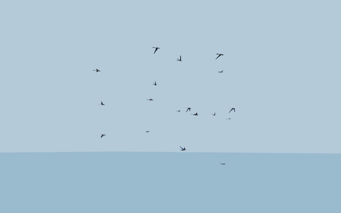 A flock of swallows flying over the sea