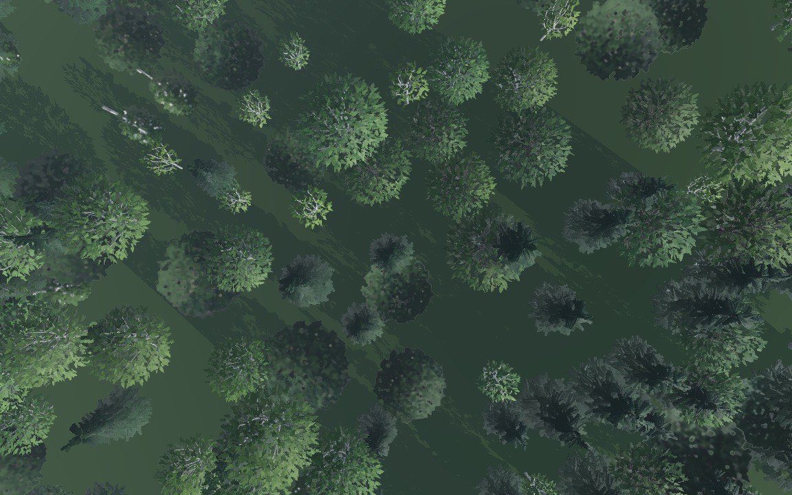 Looking straight down on evenly spaced trees with clumps and clearings