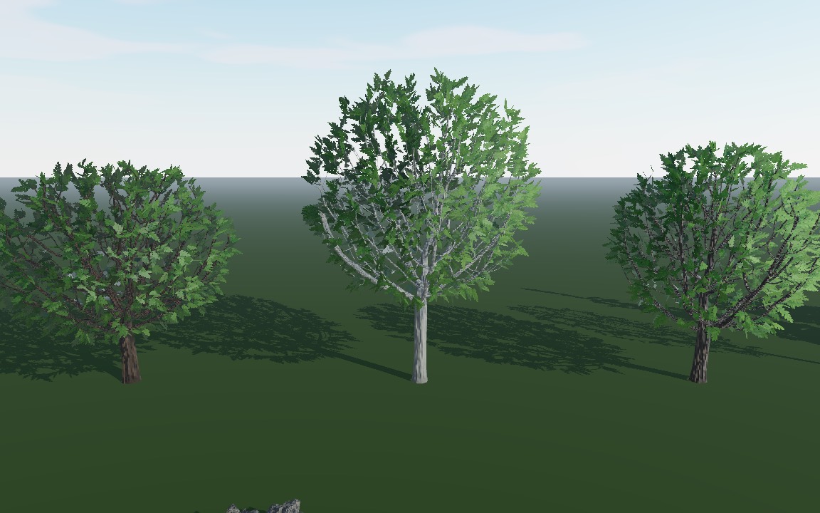 Oak, beech and maple: branches grown into their crowns